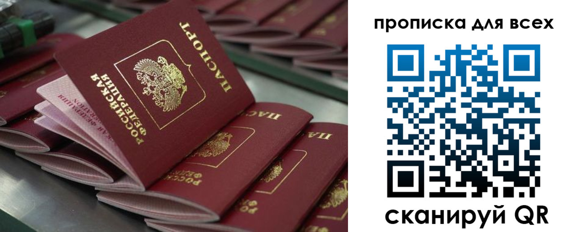 найти адрес прописки в Дубовке